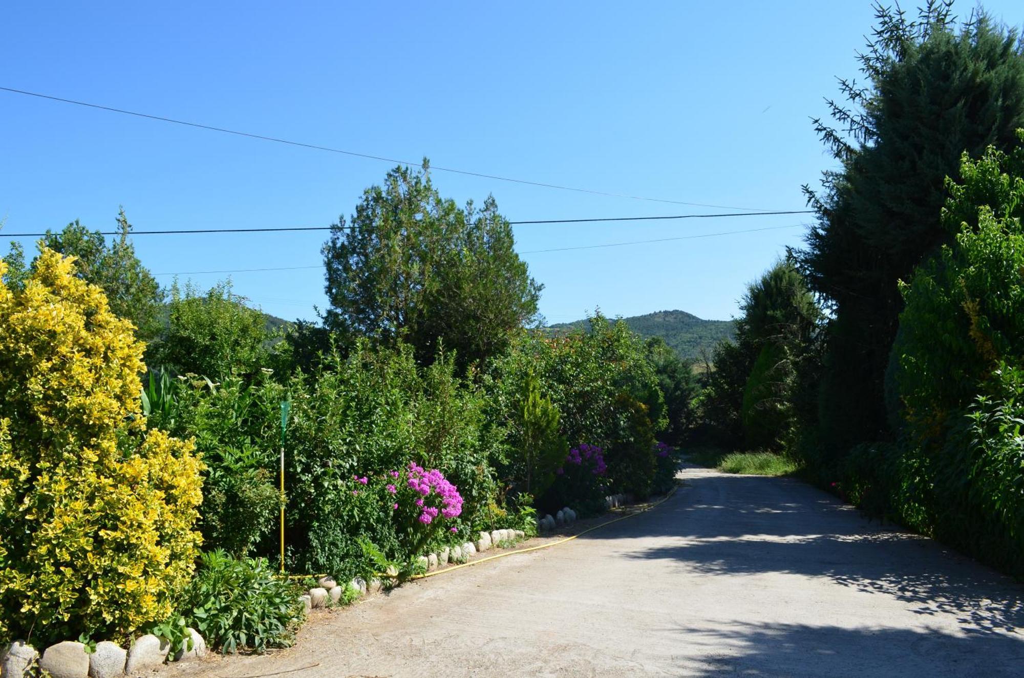 Casa Rural La Vall Del Cadi La Seu d'Urgell Exteriör bild